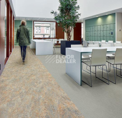 Forbo Marmoleum Decibel on Order 388935 cinder фото 3 | FLOORDEALER
